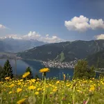 Apartment Lakeside 29 Zell Am Zell am See