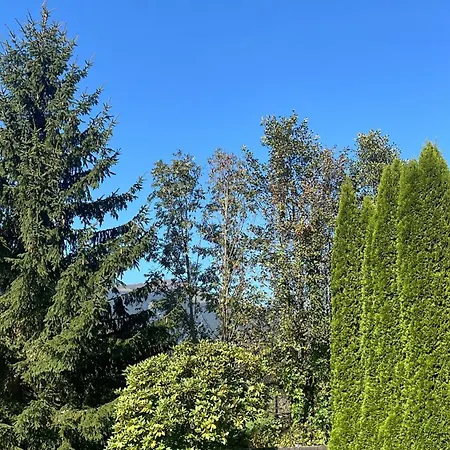 Lakeside 29 Zell Am Lägenhet