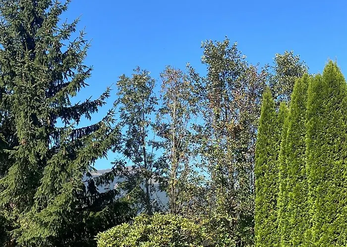 Lakeside 29 Zell Am Lägenhet