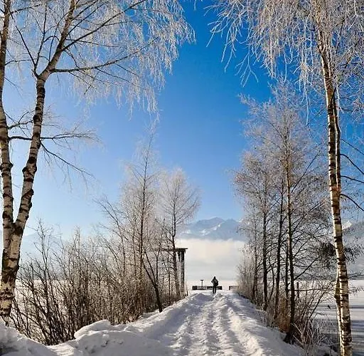 Lakeside 29 Zell Am Apartamento *