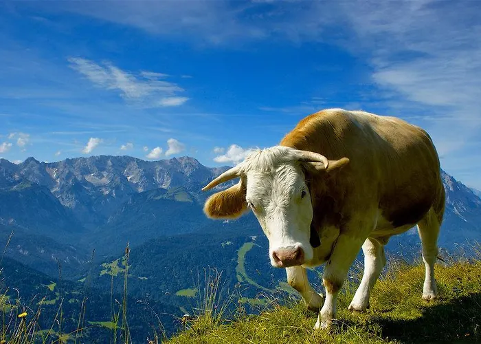 Lakeside 29 Zell Am Апартаменти Целль-ам-Зеє